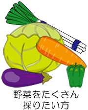 野菜をたくさん採りたい方